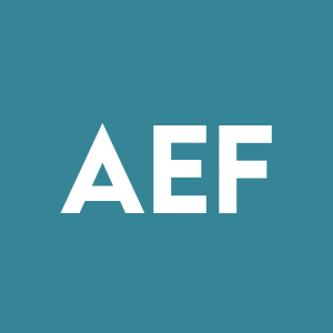 Stock AEF logo