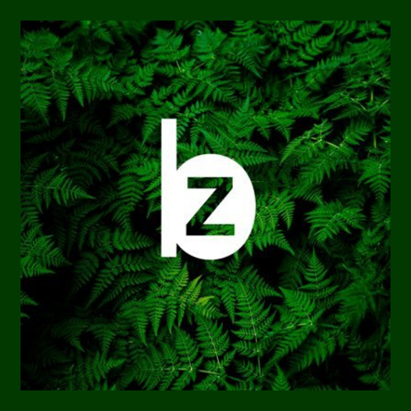 Bitzero hires Think Ink for US$286K investor campaign | AIBZ SEC Filing ...
