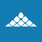 Ambarella Inc