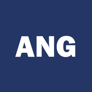 Stock ANG logo