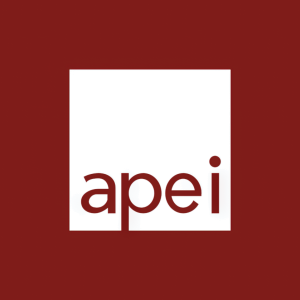 APEI Stock Logo