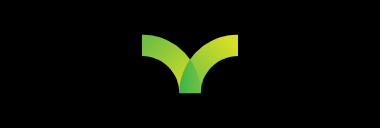 Stock AVNW logo
