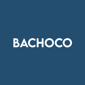 Stock BACHOCO logo