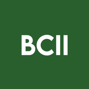 Stock BCII logo