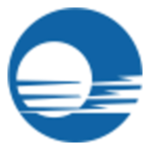 BDAI Stock Logo