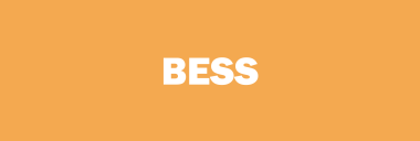 Stock BESS logo
