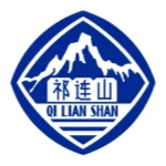 BGM Group