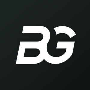Stock BGRY logo