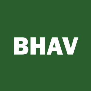 Stock BHAV logo