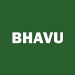 BHAV Acquisition Corp logo