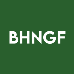 BHNGF Stock Logo