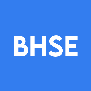 Stock BHSE logo