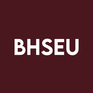Stock BHSEU logo