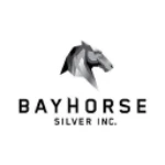 Bayhorse Silver Inc