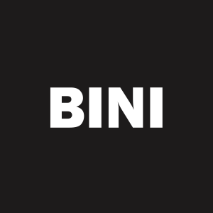 Stock BINI logo