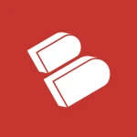 Bio-Key Intl Inc