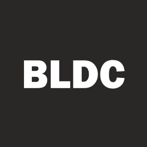 Stock BLDC logo