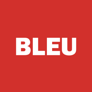 Stock BLEU logo