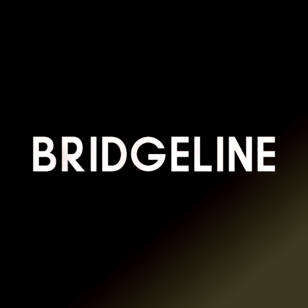 Global Technology Company Chooses Bridgeline to Power Multilingual Search | BLIN Stock News