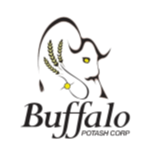BLPTF Stock Logo