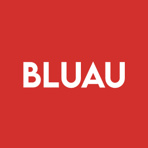 Stock BLUAU logo
