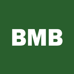 Stock BMB logo