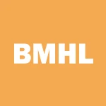 Bluemount Holdings Limited logo