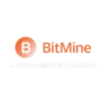 Bitmine Immersion Techs Inc logo