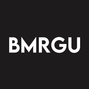 Stock BMRGU logo
