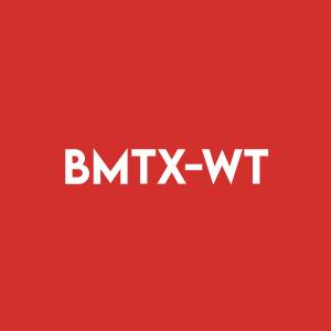 BMTX-WT Stock Logo