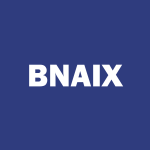 BNAIX Stock Logo