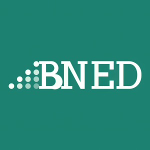 Stock BNED logo