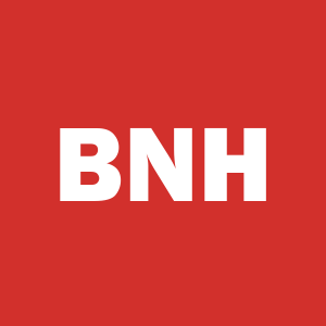 Stock BNH logo