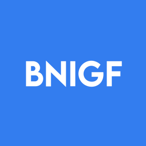 Stock BNIGF logo