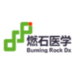 BNR Stock Logo