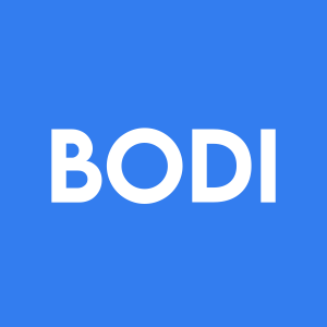 Stock BODI logo