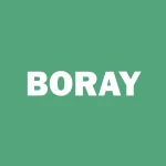 BORA PHARMACEUTICALS CO LTD logo