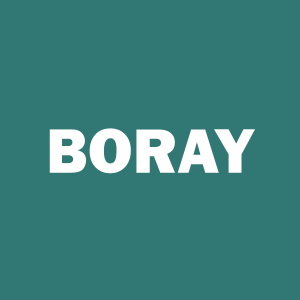 Stock BORAY logo