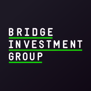 Stock BRDG logo