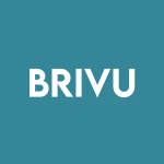 B Riley Principal 250 Merger Corp logo