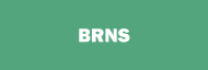 Stock BRNS logo