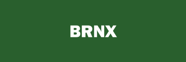 Stock BRNX logo