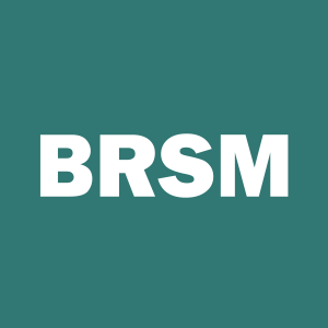 Stock BRSM logo