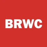 BIRDIE WIN CORP logo