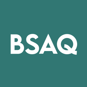 Stock BSAQ logo
