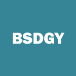 BSDGY Stock Logo