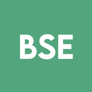 Stock BSE logo