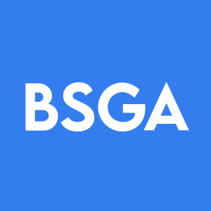 Stock BSGA logo