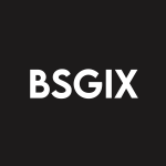 BSGIX Stock Logo