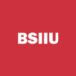 BSIIU Stock Logo